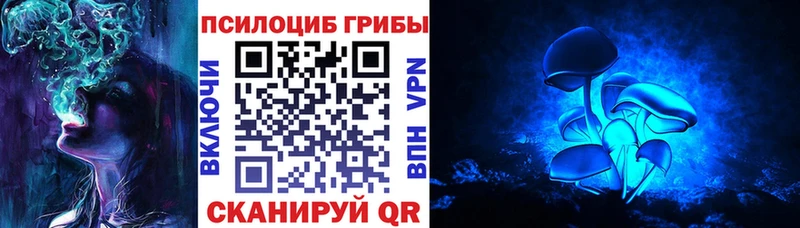 Псилоцибиновые грибы мицелий  Новосокольники 